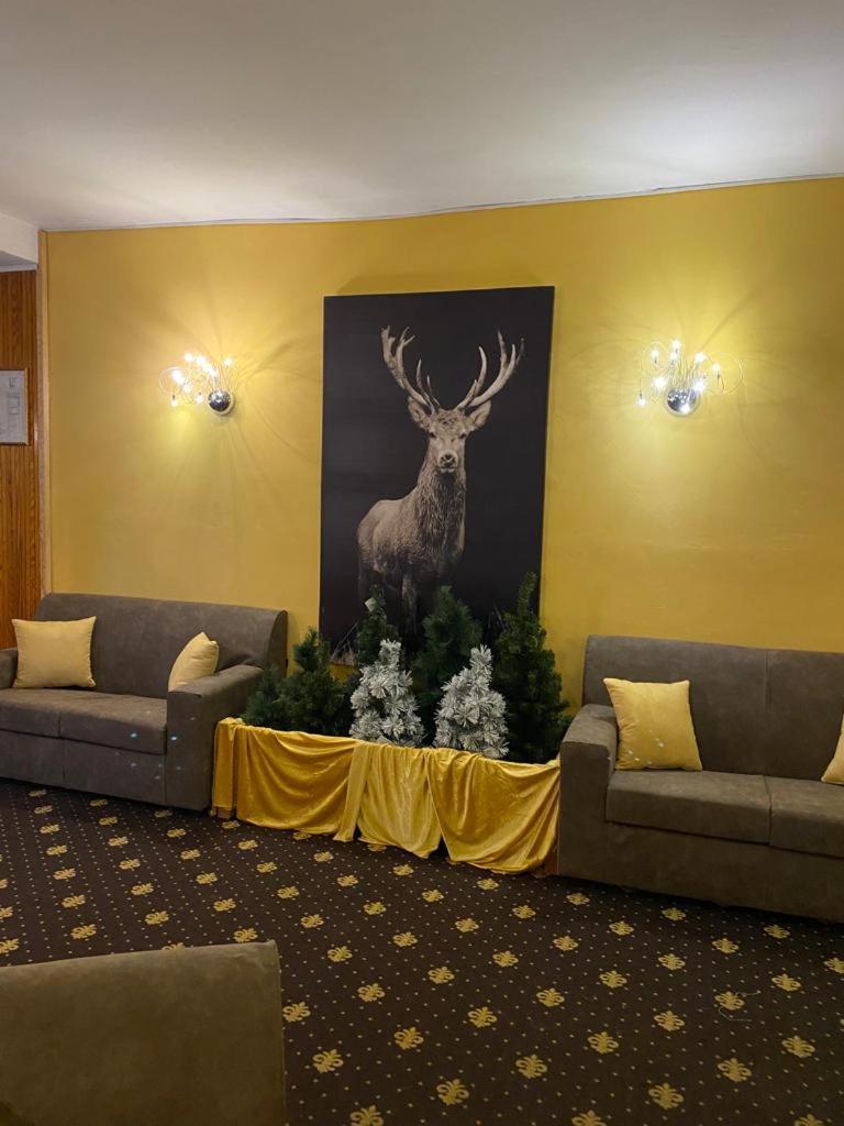 Hotel Splendid Саузе-д'Ульс Экстерьер фото